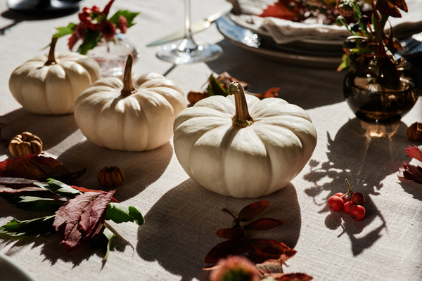 Herbarium and White Pumpkins Lie on Table